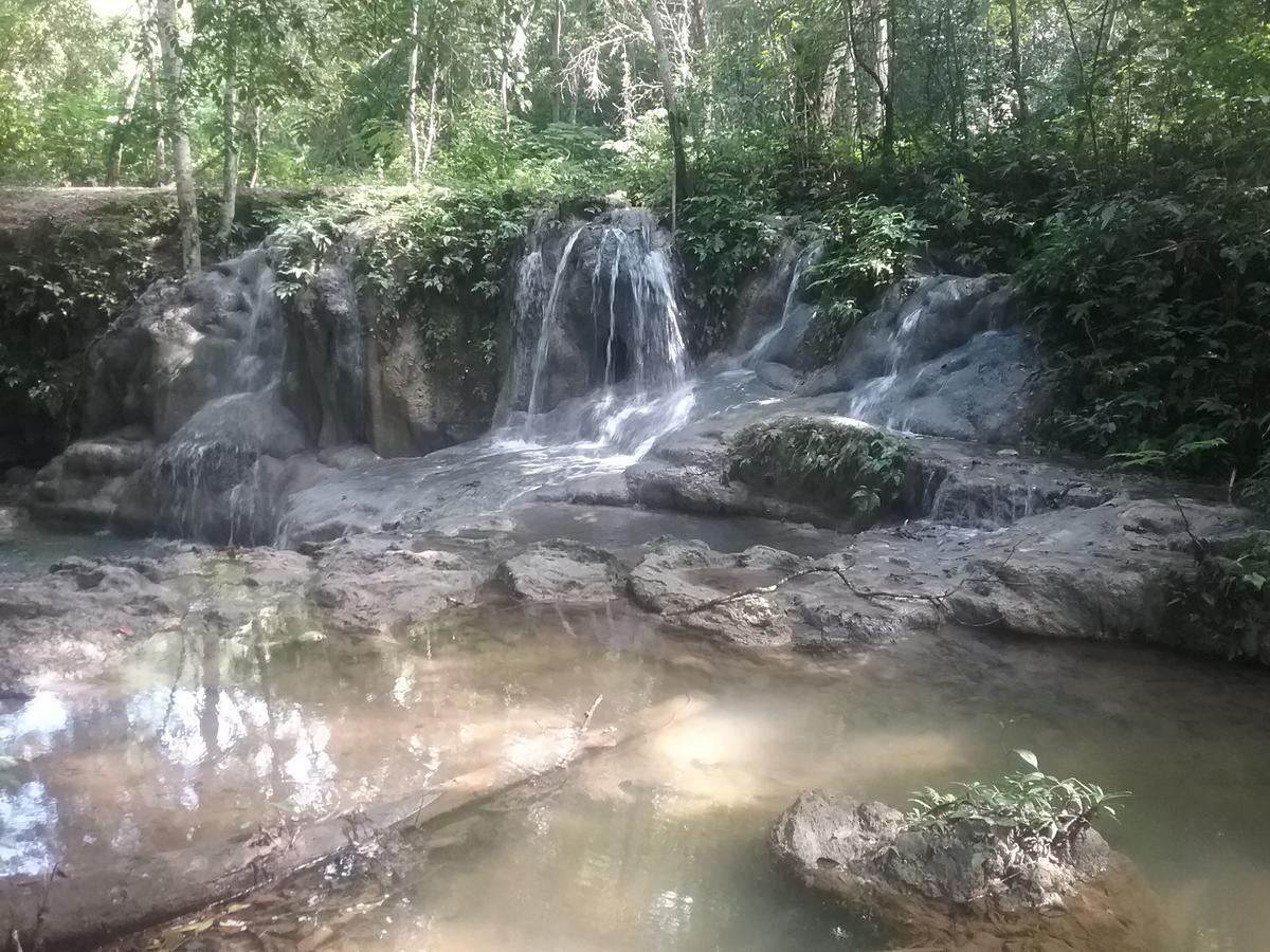 بيت شباب Hidden Haven Unitedville المظهر الخارجي الصورة