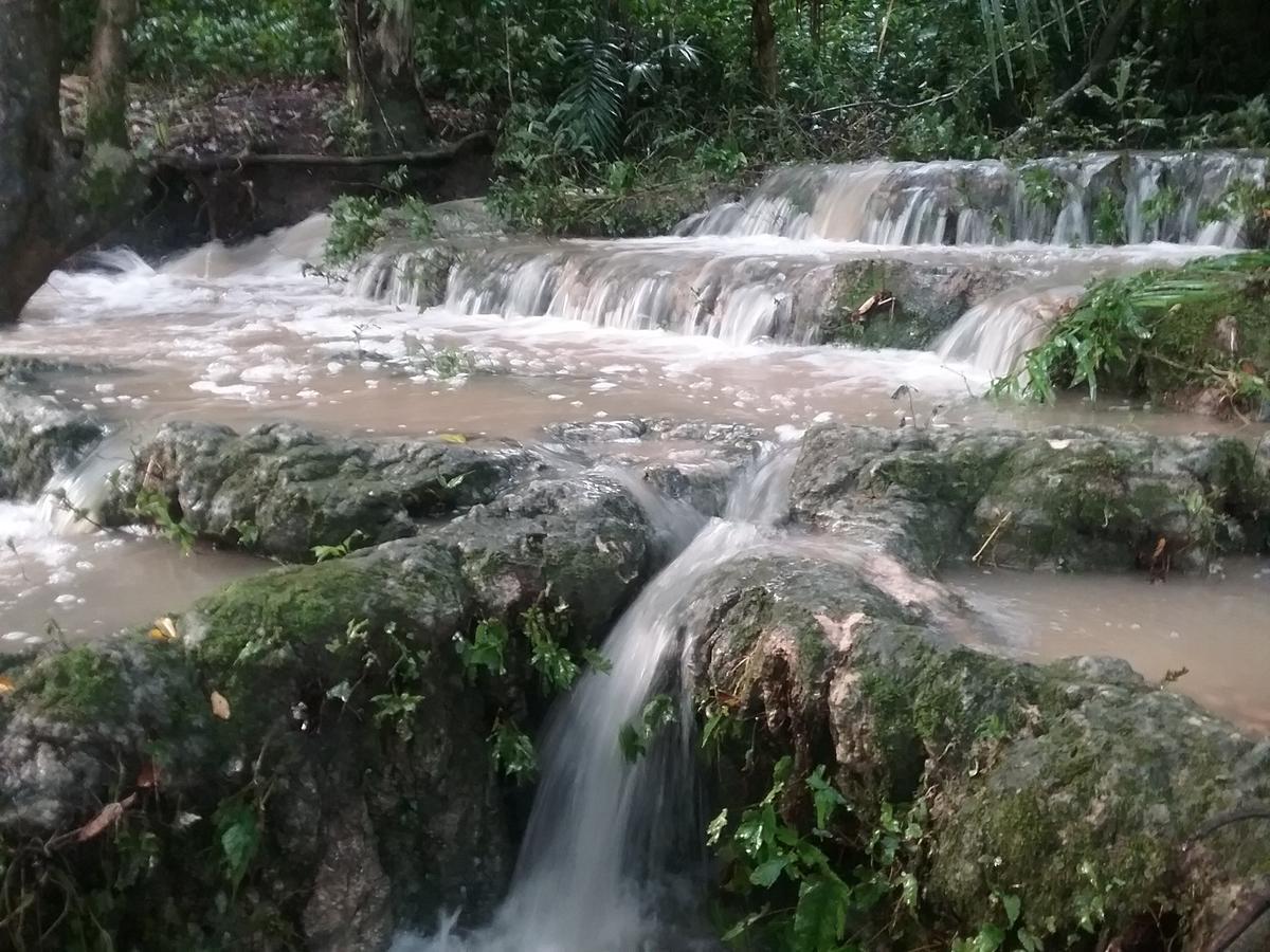 بيت شباب Hidden Haven Unitedville المظهر الخارجي الصورة